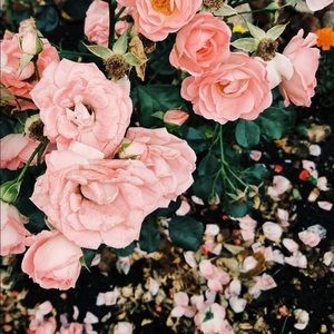 Closet on Vacation Hold September 5th-9th